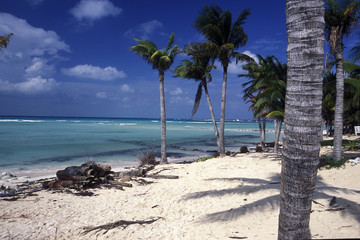 MEXICO YUCATAN CANCUN BEACH CARIBBEAN SEA