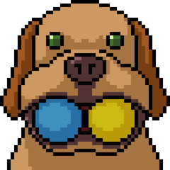 Fototapeta premium vector pixel art dog playing
