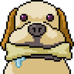 Obraz premium vector pixel art dog playing