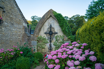 Naklejka premium Purple hydrangea in a graveyard in Castle Combe, Wiltshire, England