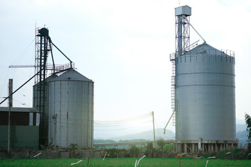 View of rice and corn factory with huge metal seed storages place between rice field
