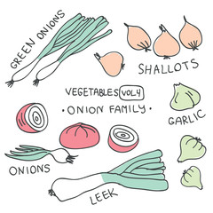 Set with hand drawn colorful doodle vegetables. Sketch style vector collection. Vegetables flat icons set