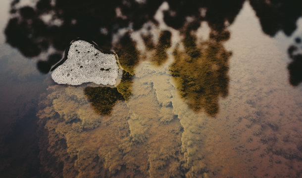 Bubbles on the acid waters of the Rio tinto