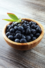 Freshly picked blueberries in wooden bowl. Juicy and fresh blueb