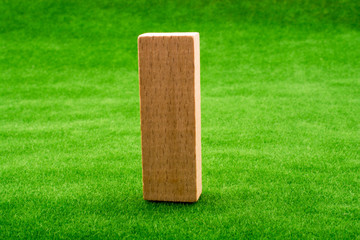 Wooden domino
