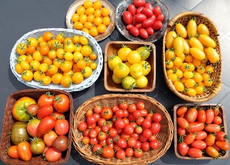Tomatoes.