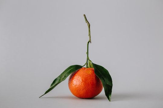 Unpeeled bright tangerine with leaves