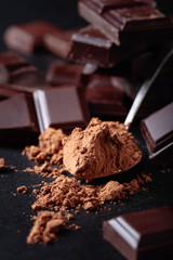 Broken chocolate pieces and cocoa powder.