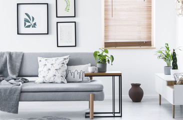 Real photo of end table with fresh plant and tea cup standing by grey couch with cushions and blanket in white sitting room interior with posters and window - obrazy, fototapety, plakaty