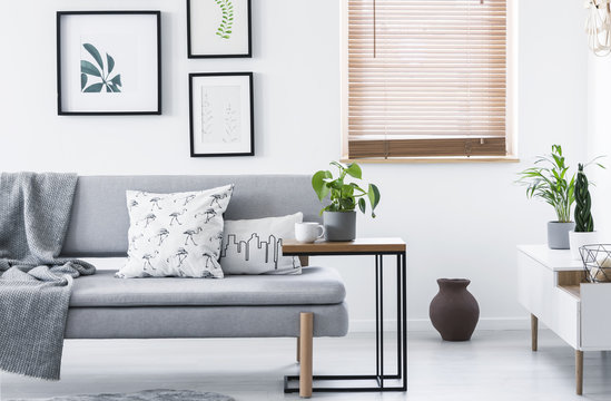 Real photo of end table with fresh plant and tea cup standing by grey couch with cushions and blanket in white sitting room interior with posters and window