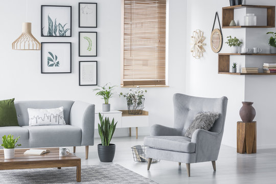 Wooden corner shelves with decor and fresh plants hanging on wall in real photo of bright living room interior with armchair with fur cushion, window with wooden blinds and coffee table