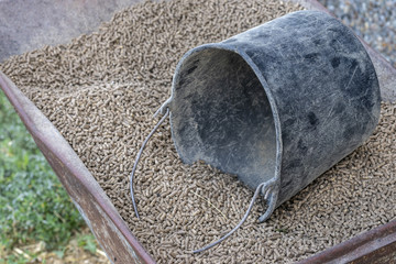 Wheelbarrow with pressed feed chunks and a black bucket . © TOF