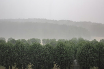 Heavy rain. Cloudburst over forest and park landscape. Beautiful background.
