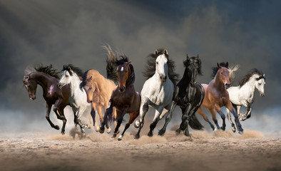 Kudde paarden rennen vooruit op het zand in het stof op de hemelachtergrond