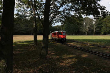 Mini train