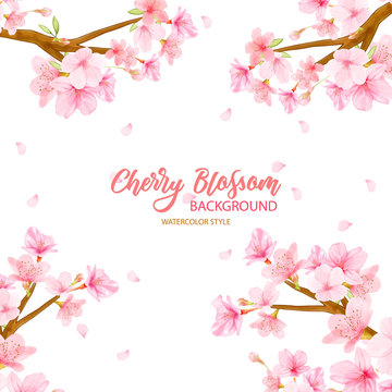 Watercolor Floral Cherry Blossom background