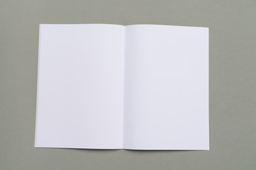 Blank catalog,brochure, magazines,book mock up on gray background