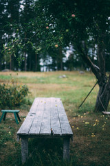 table under an apple tree. Autumn concept. Soft focus