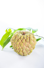 Fototapeta premium fresh sugar apple fruit(Custard Apple),sweetsop on white background