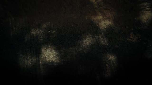 Wall background of shadows.