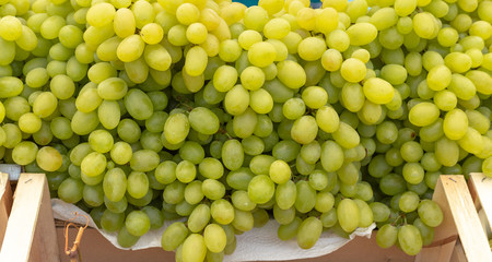 Juicy White Grapes 1
