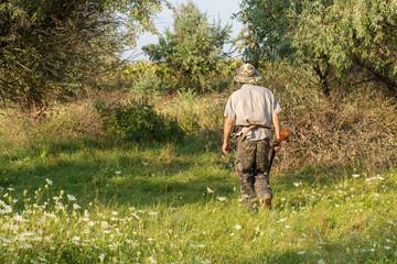 Hunter with a German trotter and spaniel, hunting a pheasant with dogs	
