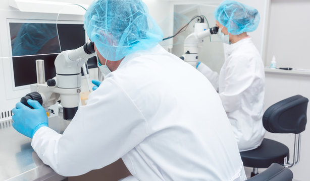 Two lab technicians or scientists working in laboratory looking thru microscopes 