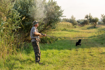Hunter with a German trotter and spaniel, hunting a pheasant with dogs