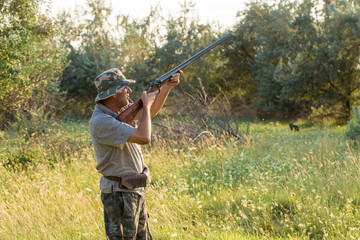 Hunter with a German trotter and spaniel, hunting a pheasant with dogs