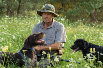 Hunter with a German trotter and spaniel, hunting a pheasant with dogs