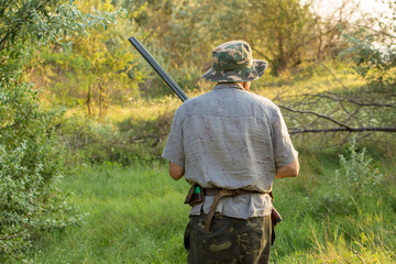 Hunter with a German trotter and spaniel, hunting a pheasant with dogs
