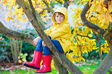 Cute little kid boy enjoying climbing on tree on autumn day. Preschool child in colorful autumnal clothes learning to climb, having fun in garden or park on warm sunny day