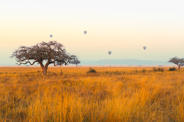 A hot-air balloon over the Serengeti National Park,Tanzania.