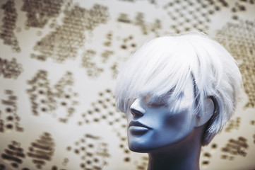 Mannequin dans une vitrine