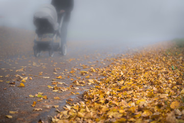 Road in the fog in autumn. Baby carriage with mother on the road at dusk