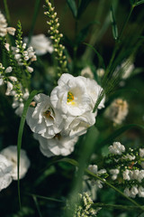 Wedding decoration in the garden. Modern wedding