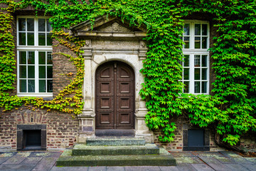 Fototapeta na wymiar Rustic wooden door entrance covered in beautiful green leaves