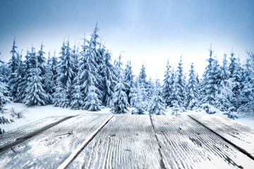 table background of free space for your decorationa and winter landscape of forest 