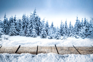 table background of free space for your decorationa and winter landscape of forest 