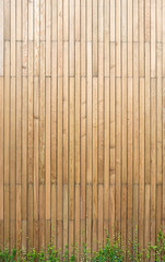 Wooden plank in vertical pattern with green climber