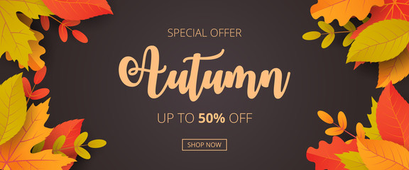 Autumn sale background with leaves. Can be used for shopping sale, promo poster, banner, flyer, invitation, website or greeting card. Vector illustration