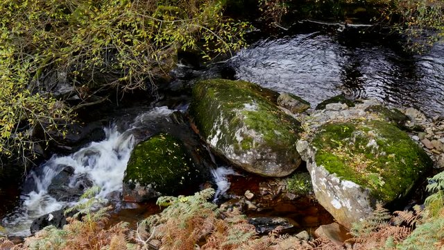 A Welsh Stream with rocks and stones with water flowing over the. filmed in summertime,