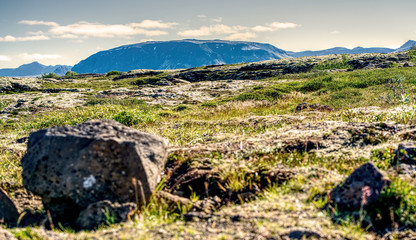 Fototapeta na wymiar Beautiful nature of Iceland