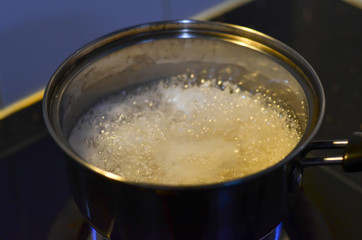 Boiled sago in coconut milk