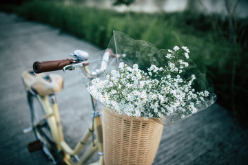 Vintage bicycle with basket and flowers in the par