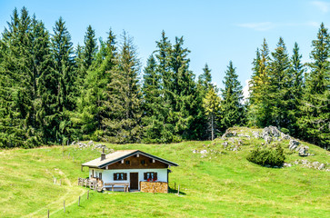 old log cabin