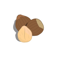 Hazelnuts icon. Vector.