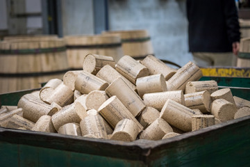Corks for wine bottles.