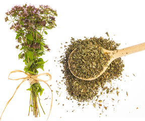 Origanum vulgare (oregano) herb - spice on a white background