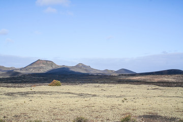 Fototapeta na wymiar Los vulcanes park in Lanzarote